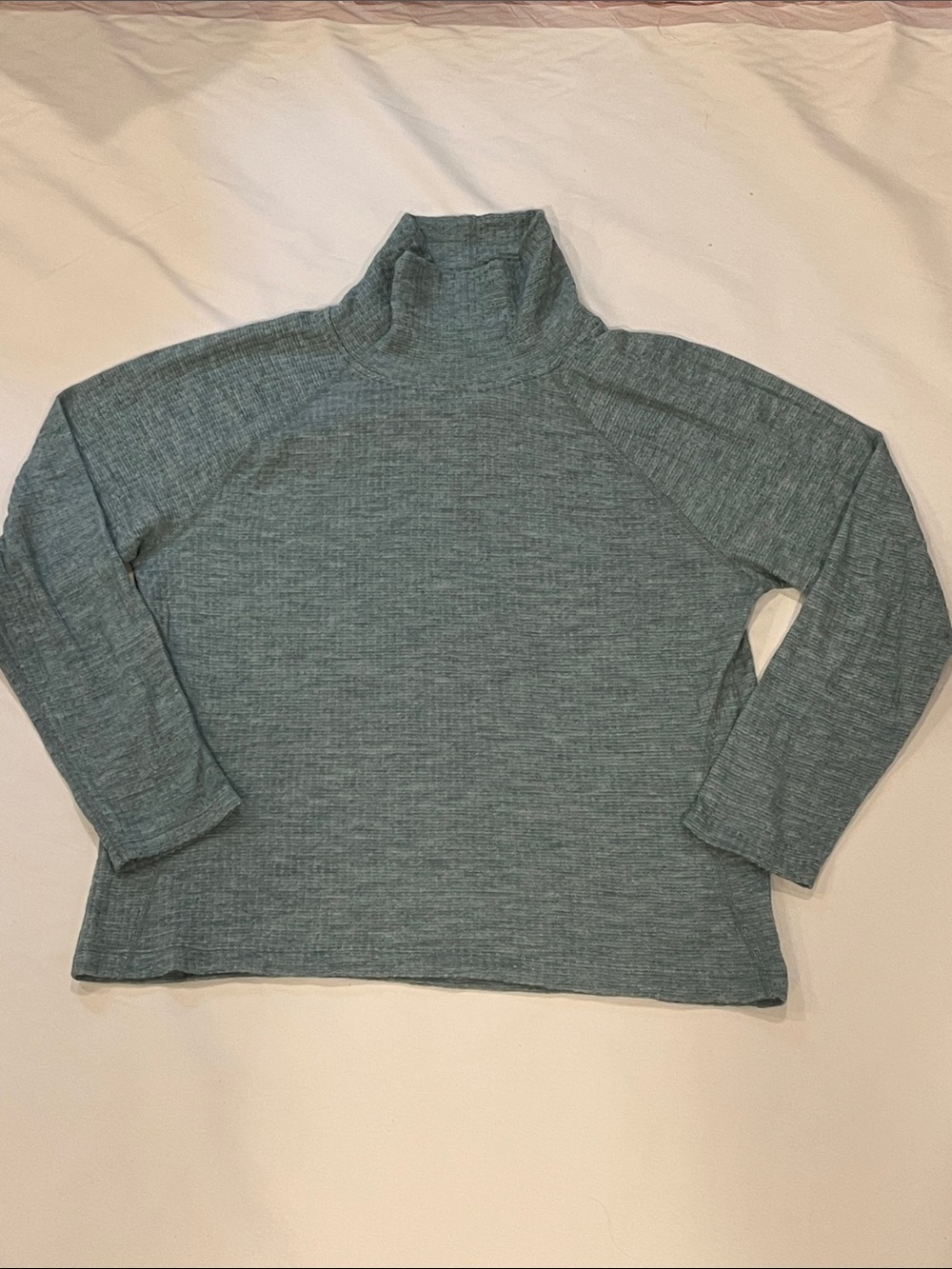 Smartwool Women's Arctic Green Heather  Turtleneck Sweater XL